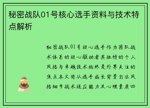 秘密战队01号核心选手资料与技术特点解析